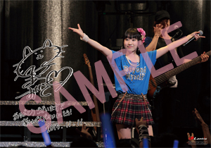 151107_animate_nyuko.jpg