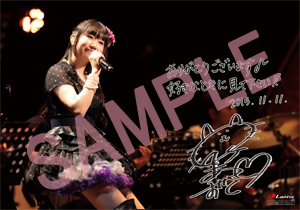 151107_gamers_nyuko.jpg